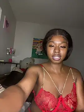 TinyBlazian901 webcam