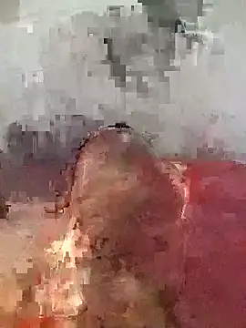 Ridick2025 webcam