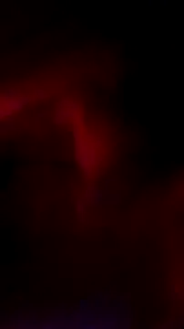 WiltedYeller webcam