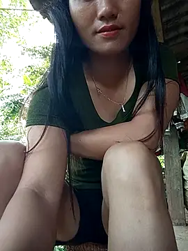 Td3di webcam