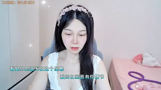QQ-7890 webcam