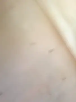 Molli1408 webcam