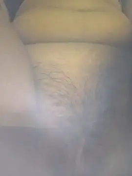 Model_1220 webcam