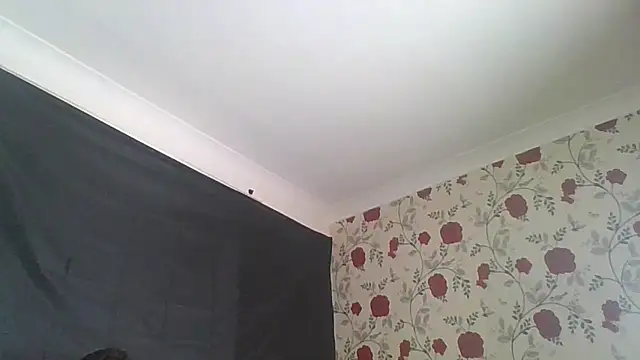 Alfiebangs webcam