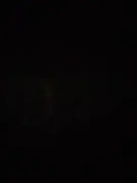 S7LEALTADPERVLIMA7 webcam