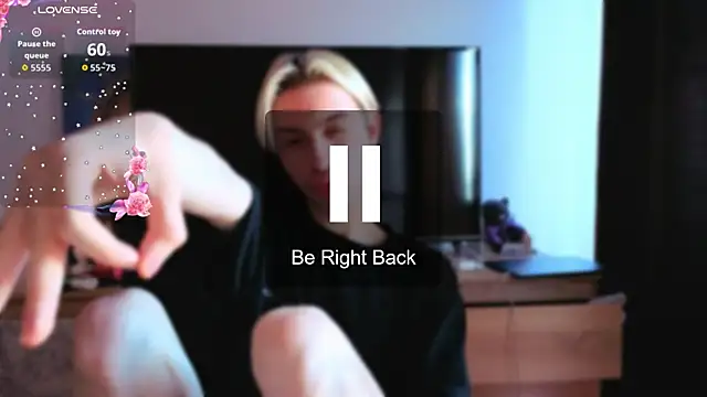skibatryanka webcam