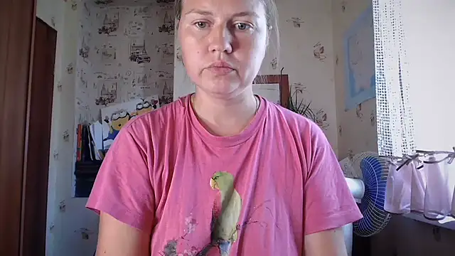 dream_alexa webcam