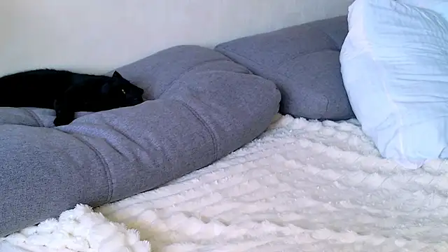 ElenaMonroe webcam