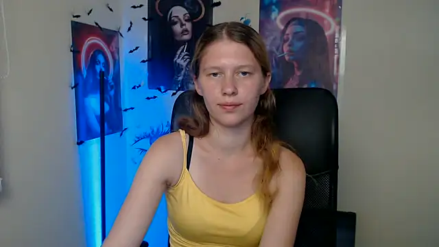 StellaCRL webcam
