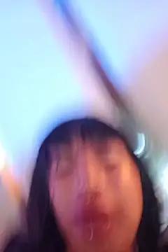 MeelFox webcam
