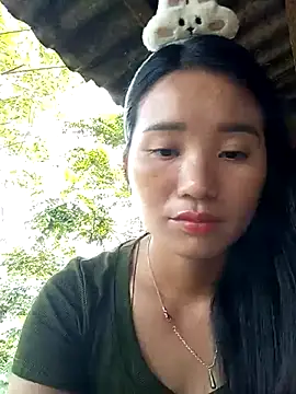 Td3di webcam