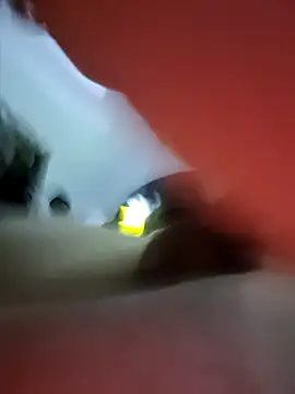 LuxatedWader webcam