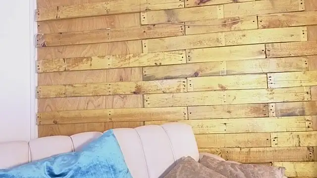 pixy_20 webcam