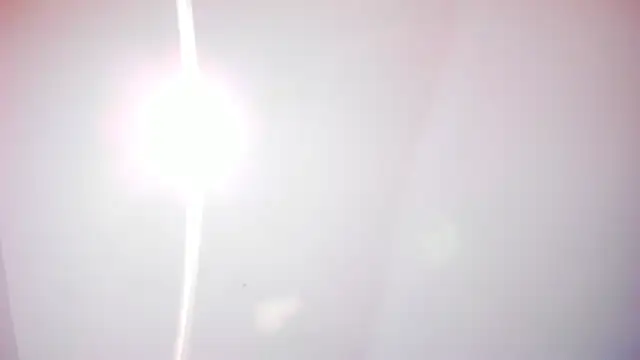 Nicolette_ks_ webcam