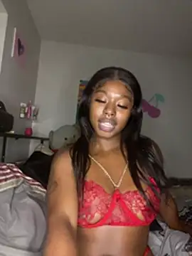 TinyBlazian901 webcam