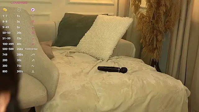 Ashley-Evans webcam