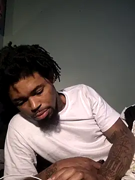 Painstickwes webcam