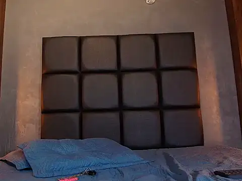 CORAL_FOX webcam