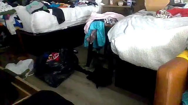 Dicksee_Left webcam