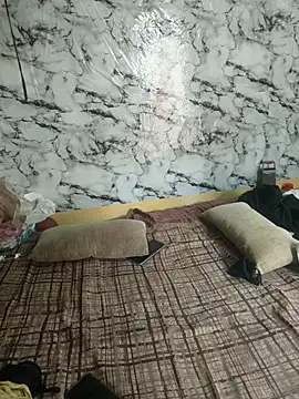 DESHICPL69 webcam