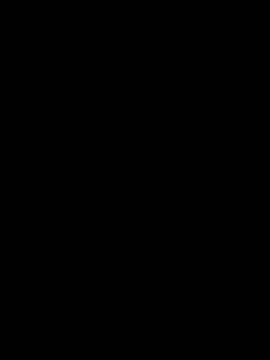 pipoval12 webcam