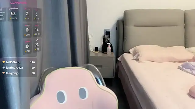 baozhizhi webcam
