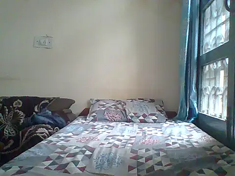wel1332 webcam