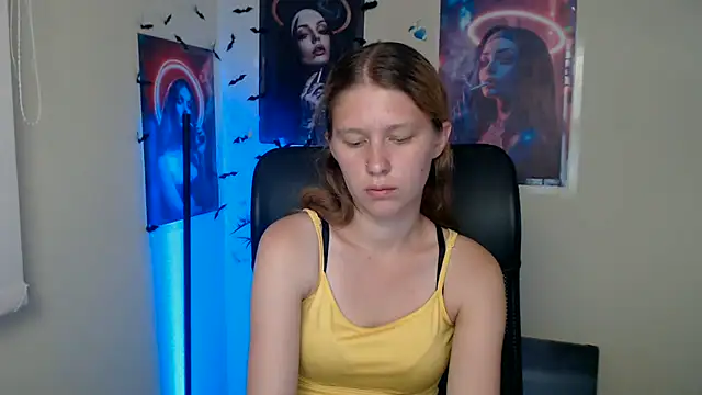 StellaCRL webcam