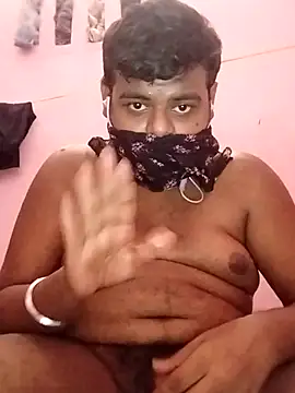 sissybar webcam