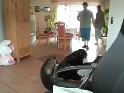Nobbie444 webcam