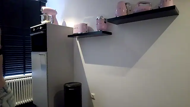 avajade webcam