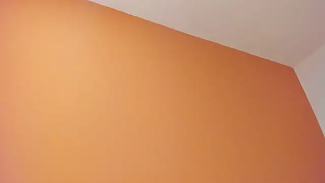 b3cky_ webcam