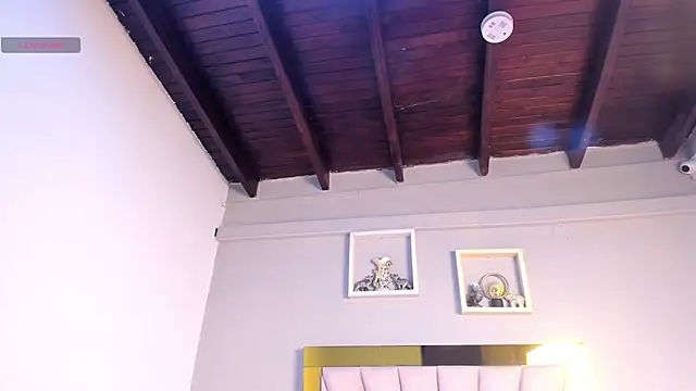 vahiolet_fuentes webcam