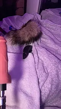 alldogsgotoheaven live cam preview