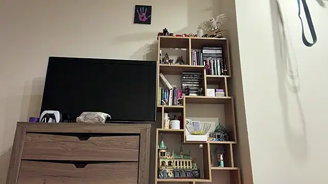 PaintedDisplay webcam