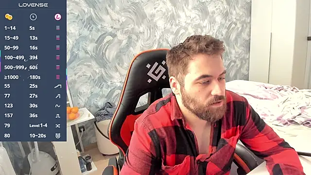 Morlaios webcam