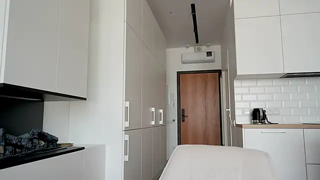 sscarl_ii webcam