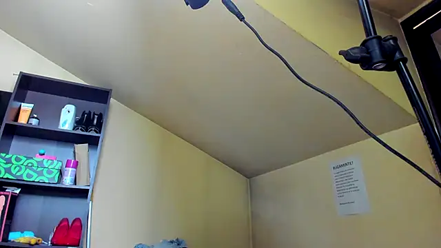 nicolepalmer webcam