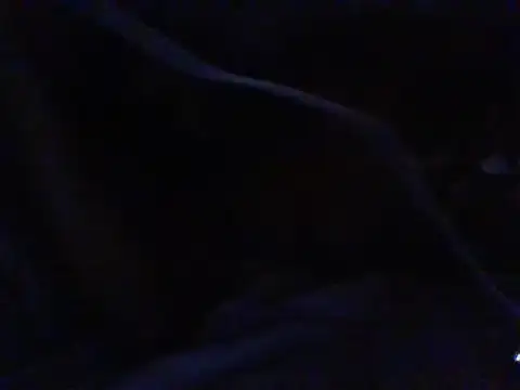 Jiggle_assie webcam