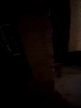 thebesteverhunter webcam