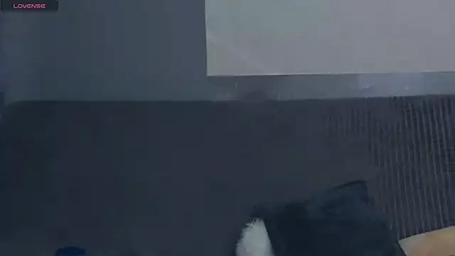 TarynPalek live cam on StripChat