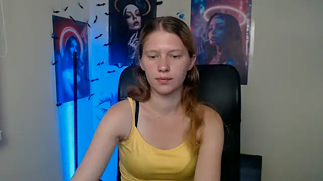 StellaCRL webcam