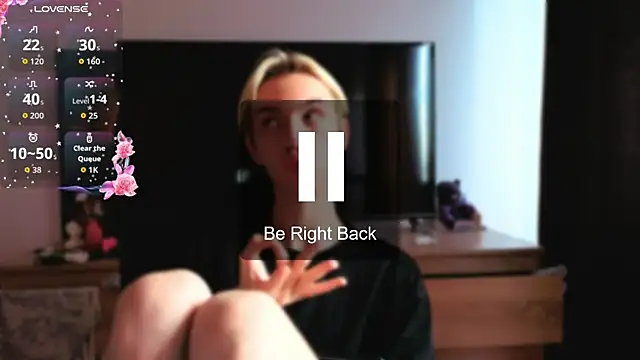 skibatryanka webcam