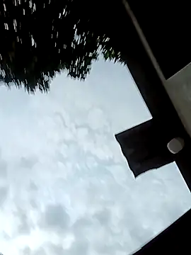 lylai18 webcam