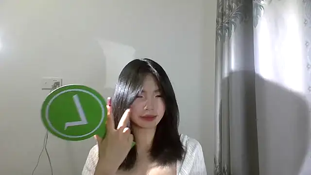 coco-zh webcam