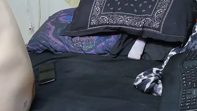 Spotless_Load webcam