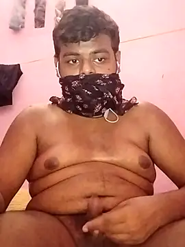 sissybar webcam