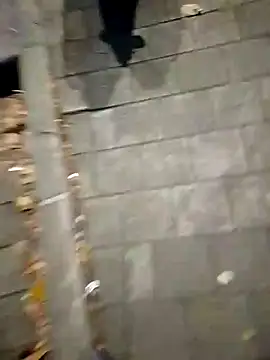 FeloBad webcam