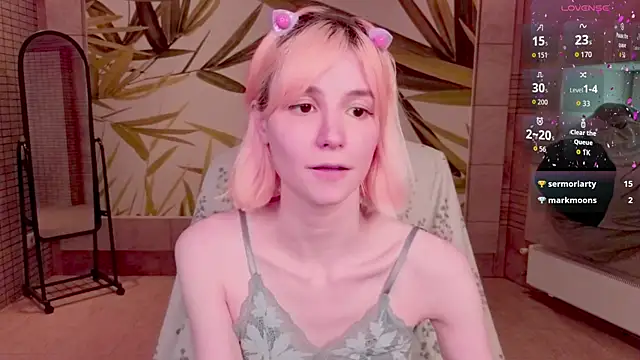 fleximona webcam