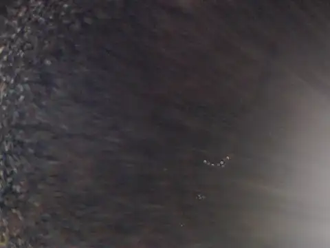 Kudi_Kiyara webcam